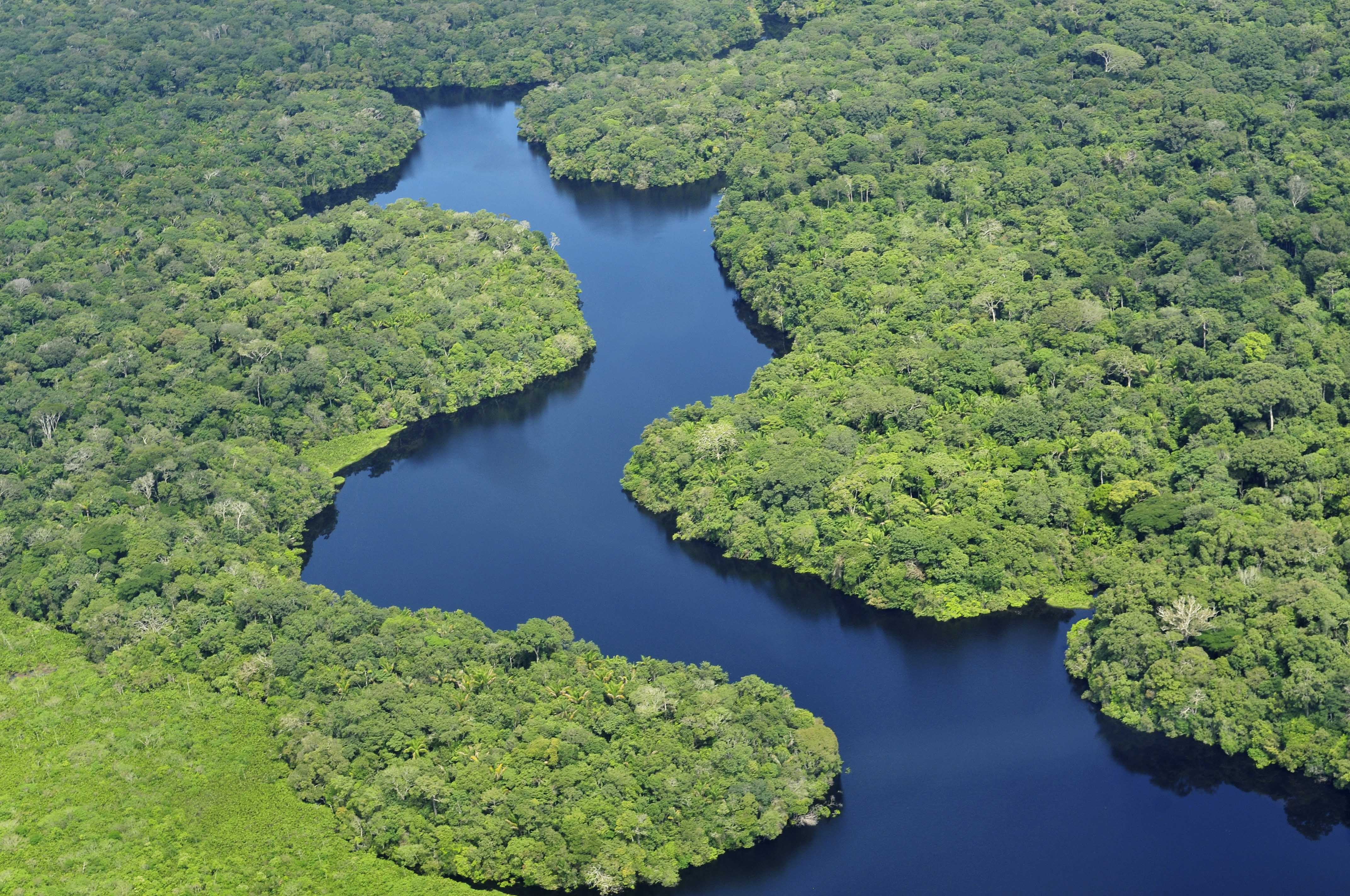 foto ambiente amazzonia
